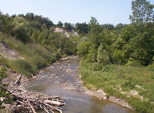 Rouge River in Wikipedia