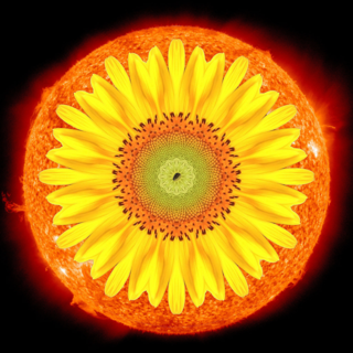 Mandala titles for your reading interest!