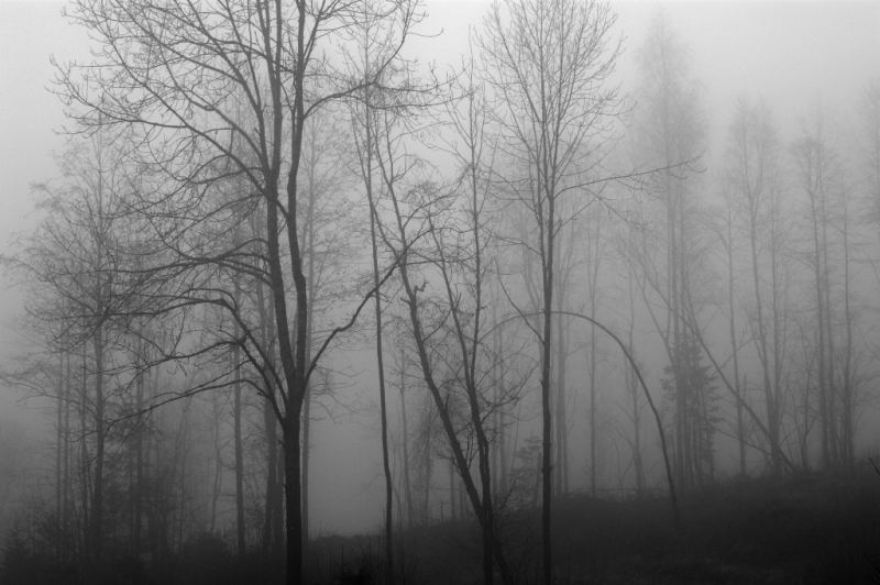 And then November by Randi Hausken from Bærum, Norway