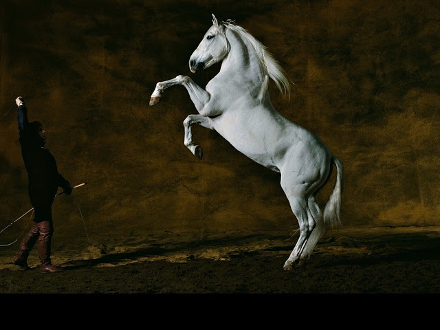 By Yann Arthus-Bertrand