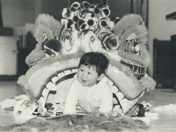 Lion bait Edwin Chow, 8 months, gets into the spirit of the lion dance at Nathan Phillips Square