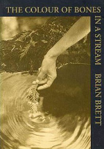 The Colour of Bones The Colour of Bones