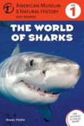 The world of sharks