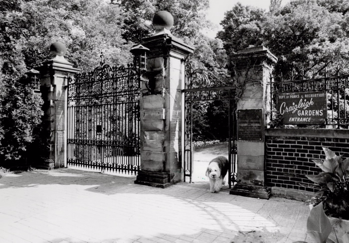 Large gates to a lush garden with a dog walking through the entrance