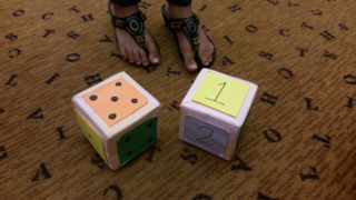 Src dice on the floor