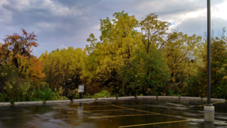 York Woods parking lot York Woods parking lot