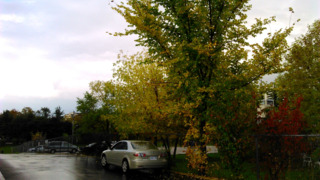 York Woods driveway York Woods driveway