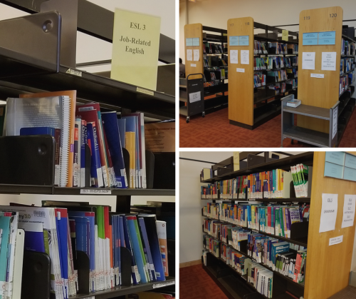 Toronto Reference Library ESL Collection