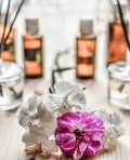 Aromatherapy Program Forest Hill
