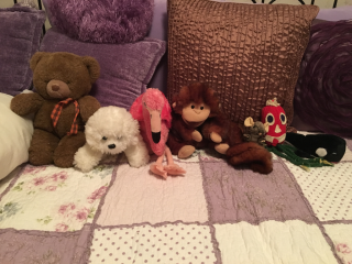 Stuffed animals placed on a bed in alphabetical order. Stuffed animals placed on a bed in alphabetical order.