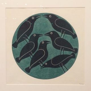 Birds