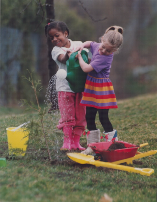 Children watering a tree