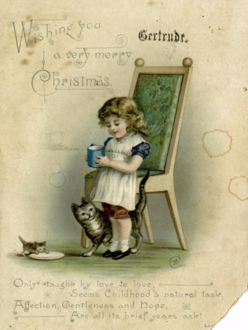 A young girl with a mug stands by a chair and two cats one of them is drinking from a plate A young girl with a mug stands by a chair and two cats one of them is drinking from a plate