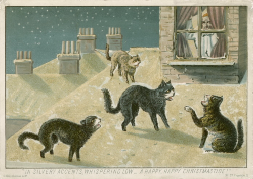 Four cats hiss on top of a snowy roof while a man peeks out from the window Four cats hiss on top of a snowy roof while a man peeks out from the window