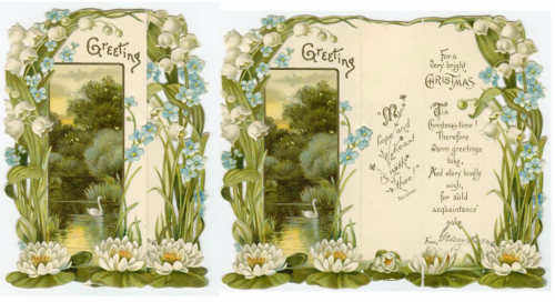 Two images one open and one closed of a a flowery pond with a swan Two images one open and one closed of a a flowery pond with a swan