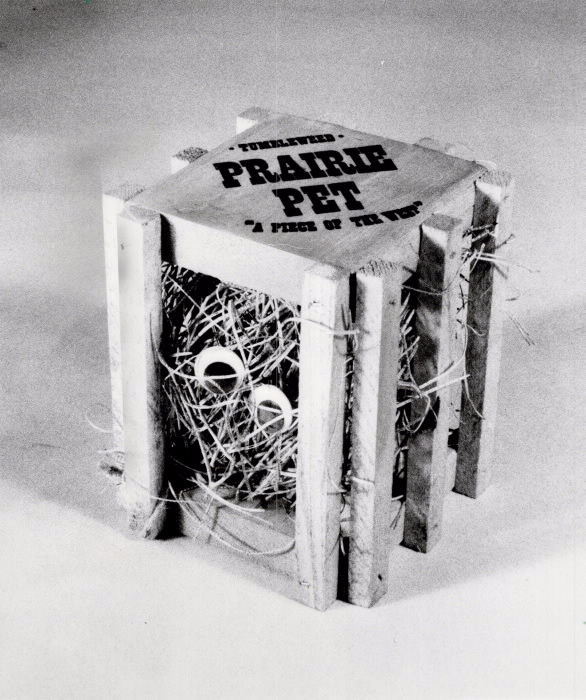 Ball of straw with googly eyes in a crate