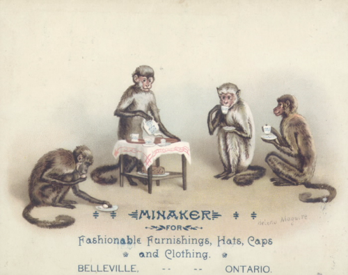 Promotional postcard shoing four monkeys having tea with the text Minaker for fashionable furnishings  hats  caps and clothing belleville Ontario