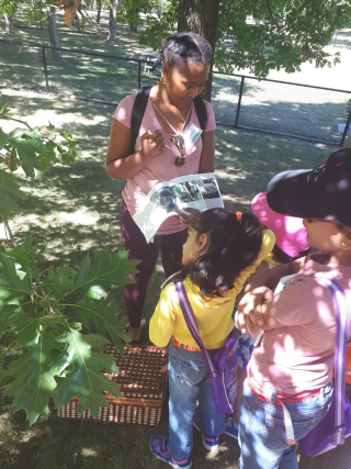Children learning on hike, photo credit Janelle Richards
