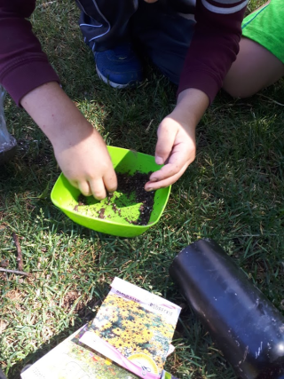 Making Seed Balls!, Photo credit Janelle Richards