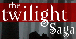 Sharon_blog_twilight_4