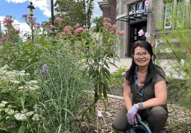 Person kneeling beside a pollinator garden with pink flowers, outside of a library branch.
