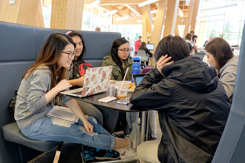 Studying at the Library