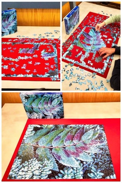 Leaside Jigzaw Puzzle Leaside Jigzaw Puzzle