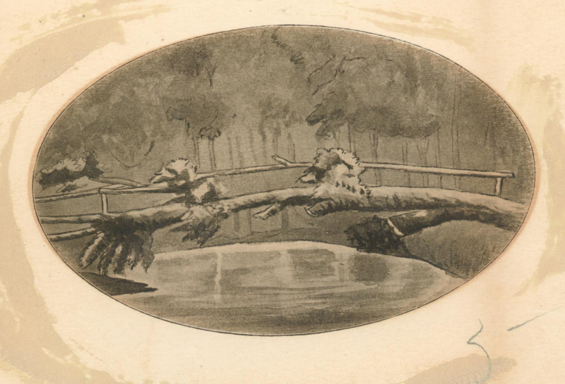 Oval bordered simple sketch of tree trunk with handrail over river